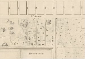 Seneca Village from Map of Central Park by Viele 1856 (1697276)
