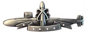 Silver Deterrent Patrol badge