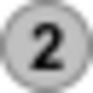 Silver medal icon