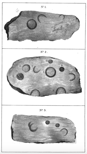 Sketch by Jabez Allies of animal markings found in sandstone in Whelpley Brook (1835)