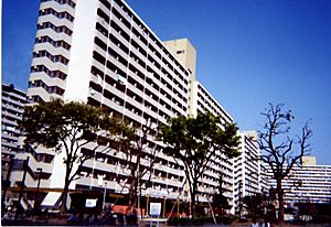 Takashimadaira housing development