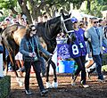 Tepin Breeders Cup 2016 - 1