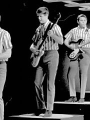 The Beach Boys TV (cropped Brian)