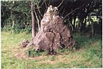Wimblestone standing stone