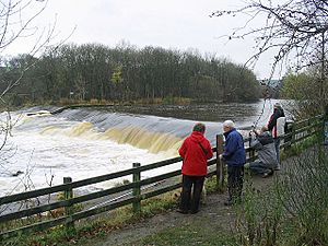 The cauld by the Philiphaugh Salmon Viewing Centre - geograph.org.uk - 618657