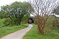 Tissington Trail near Tissington - geograph.org.uk - 1311395