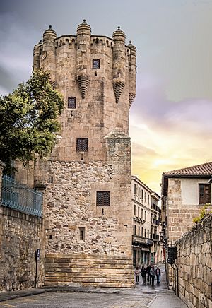 Torre del Clavero (s. XV), Salamanca (37114166554)
