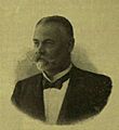 Tost Gyula - Vasárnapi Újság Vol. 53 No. 11.