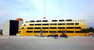 UNMSM P1000084