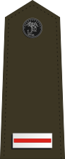 US Marine W-5 shoulderboard