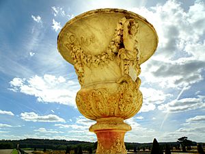 Vase in the sky of Versailles