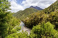 View towards Mt Patriarch, Wangapeka Track, Kahurangi, New Zealand 04.jpg