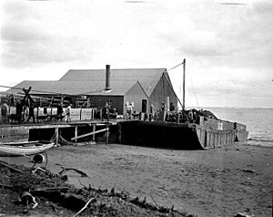Wharf and scows at unidentified cannery, Nushagak, Alaska,1917 (COBB 104)