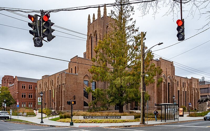 Yale Peabody Museum (54106346944)