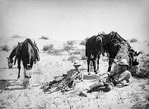 Yeomanry in the desert
