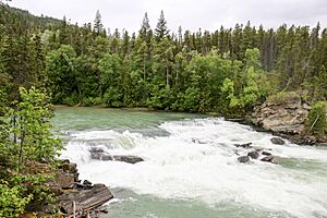 2019-06 Rearguard Falls (02)