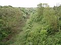 Abandoned railway (South) - geograph.org.uk - 428884