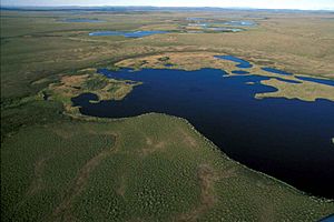 Aerial-view-of-national-park-wetlands