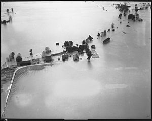 Aerial photograph of flood, unidentified stretch of lower Mississippi River. - NARA - 285958