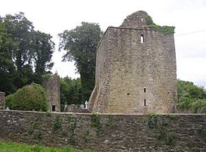 Aghaviller ruined church and round tower, Newmarket, Co. Kilkenny - geograph.org.uk - 206920