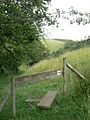 Along the Chalkland Way - geograph.org.uk - 901754