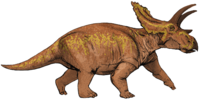 Anchiceratops dinosaur.png