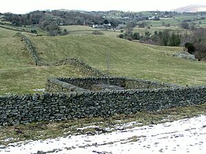 Andy Goldsworthy-Fold1