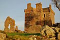 Balvaird Castle - geograph.org.uk - 355823