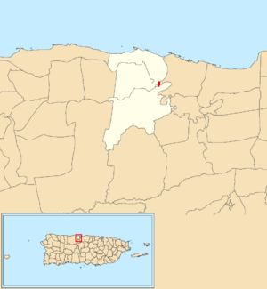 Location of Barceloneta barrio-pueblo within the municipality of Barceloneta shown in red