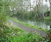 Basingstoke Canal and towpath