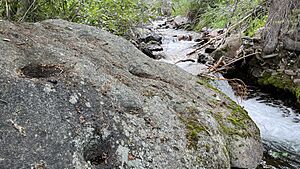 Bedrock Mortar in Mineral King