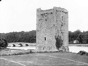 Belvelly Castle, Fota, Co. Cork (20291587808)