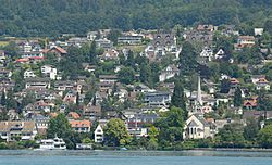 Blick vom Zürichsee auf Erlenbach (2009)