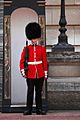 Buckingham-palace-guard-11279634947G5ru
