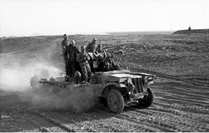 Bundesarchiv Bild 101I-784-0207-38, Nordafrika, Flak auf Kettenfahrzeug