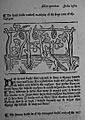 Caxton Fox and Grapes