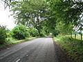 Country Lane towards Hall's Tenement - geograph.org.uk - 1961978