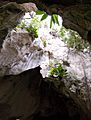 Cueva Lucero in Guayabal, Juana Díaz, Puerto Rico