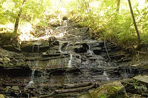 Denlow Falls (East Chedoke Falls) 2010 - panoramio.jpg