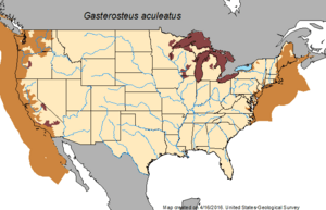 Distribution of Gasterosteus aculeatus (Three-spine stickleback) in North America