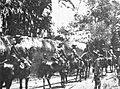 Dutch cavalry at Sanur 1906