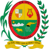Official seal of Angostura, Antioquia