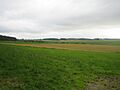 Farmland near Down Dairy - geograph.org.uk - 914318