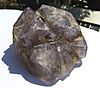 Fluorite with Iron Pyrite