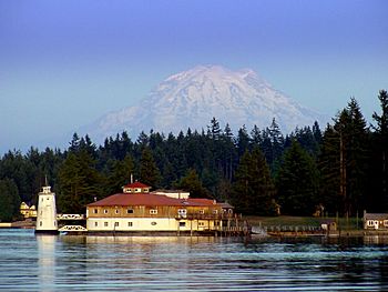 A building on the north shore of Tanglewood Island with Mount Rainier in the distance behind it.