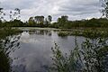 Glemsford Pits 16