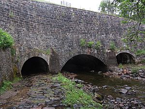 Glen Loy Aqueduct, Caledonain Canal (geograph 3285838)