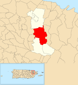 Location of Hato Puerco within the municipality of Canóvanas shown in red