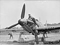Hawker Hurricane - Reims-Champagne - Royal Air Force France, 1939-1940. C1731