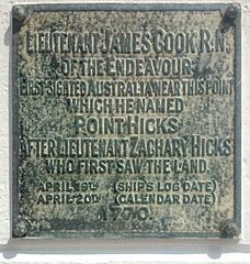 Hicks-plaque